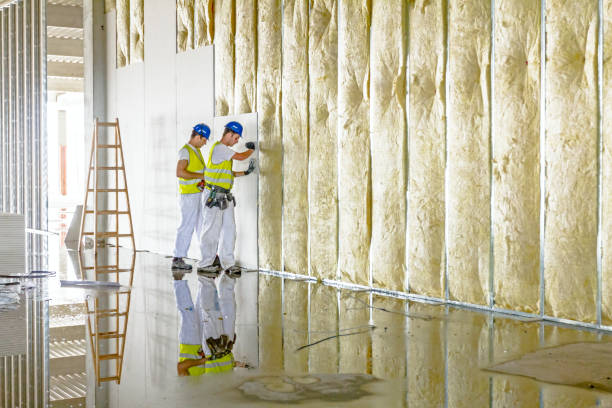 Best Spray Foam Insulation  in Thompsons Station, TN